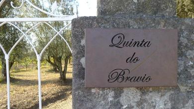 Гостевой дом Quinta do Bravio