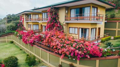 Отель Hotel Ficus - Monteverde