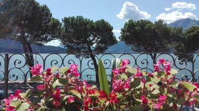 Апартаменты Casa d'epoca fronte lago a Domaso lago di Como