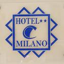 Hotel Hotel Milano
