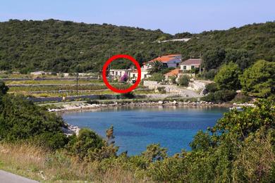 Holiday home Seaside holiday house Cove Parja, Vis - 8903
