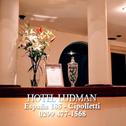 Отель Hotel Ludman