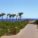 Курорт Viva Blue Resort and Diving Sharm El Naga (Adults Only)