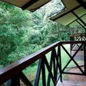 Отель La Selva Biological Station