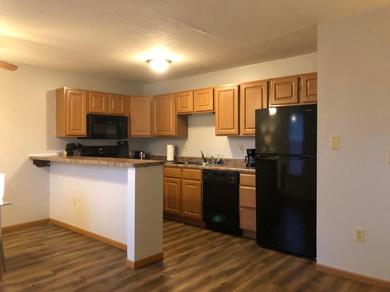 Apartments Spacious 2 and 3 bedroom newly furnished apartments close to Rivian