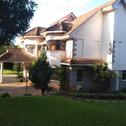 Villa Duom Palm Home