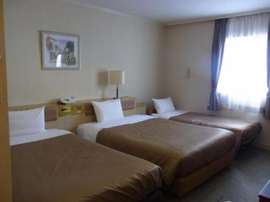 Отель Asakusa Central Hotel - Vacation STAY 17538v