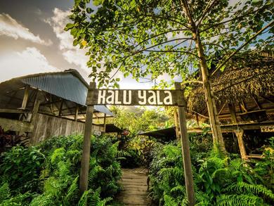 Hotel The Jungle Lodge at Kalu Yala