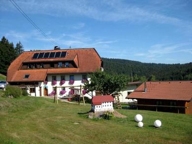 Апартаменты Mitten im Naturpark Südschwarzwald liegt freistehend auf einer Anhöhe von 930 m, unser Haus mit phantastischem Panoramablick