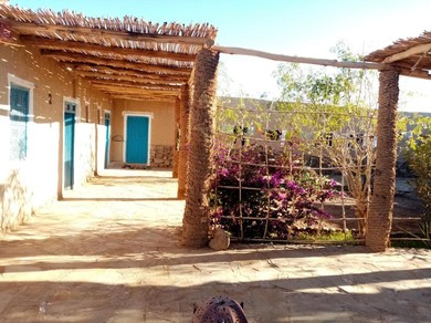 Гостевой дом Dar Oasis Moringa
