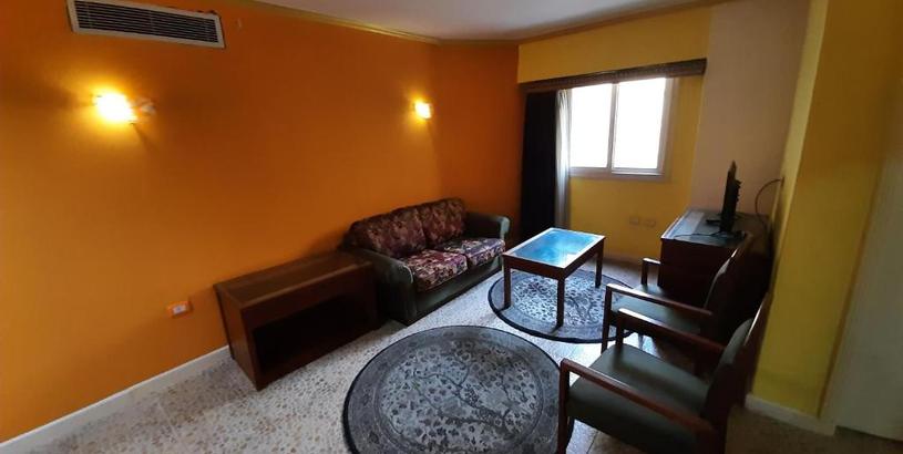 Апартаменты Fully Furnished Apartement in Cairo Downtown 5minutes from tahrir square and Ramsis street