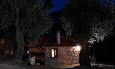 Отель Discover Zupci's Hidden Gem: Your Mountain Oasis with Historic Olive Trees