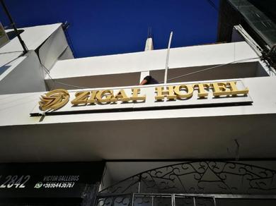 Отель Zigal hotel