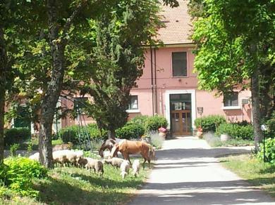 Гостевой дом Country House Villa delle Rose Agriturismo