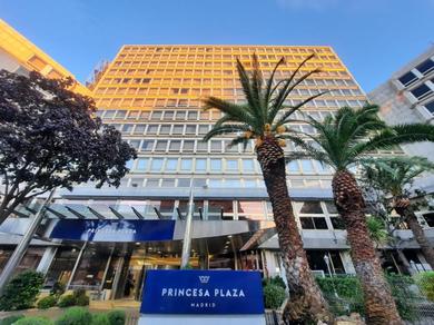 Отель Hotel Princesa Plaza Madrid