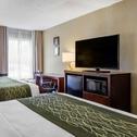 Hotel Comfort Inn Apex - Holly Springs