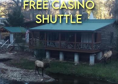 Мотель Qualla Cabins and Motel Cherokee near Casino