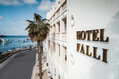 Отель Hotel Falli