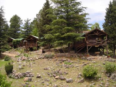 Lodge Suenos del Bosque "Cabanas & Vagones"