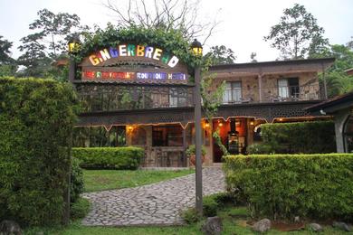 Гостевой дом Gingerbread Restaurant & Hotel