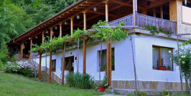 Guest house Sinia Vir Eco Residence