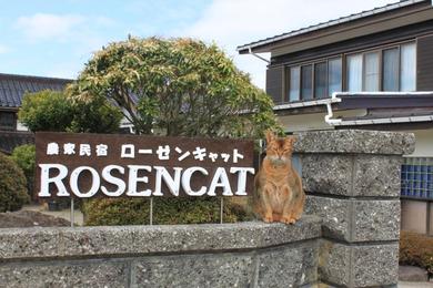 Гостевой дом Rosencat