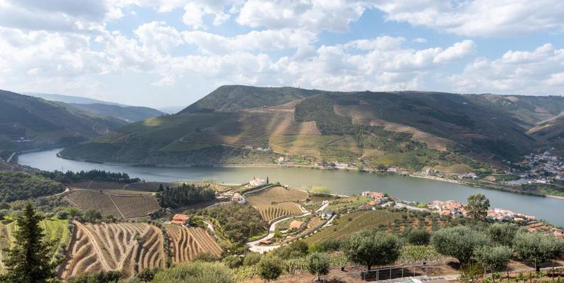 Вилла Feel Discovery Alvim's Douro