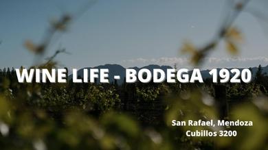 Апартаменты Cabañas Wine Life - Bodega 1920
