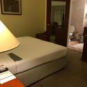 Отель Le Royal Meridien Chennai