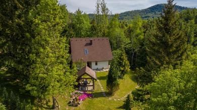 Holiday home Holiday house with a parking space Lokve, Gorski kotar - 18226