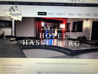 Отель Hotel Hasselberg