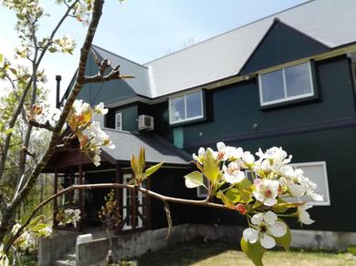 Guest house Pension Green Lake