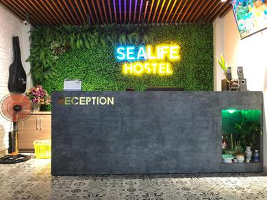 Отель Sealife Hostel