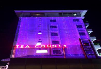 Отель Hotel Tea County