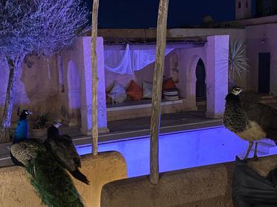 Дом отдыха Marrakesh 6-Bed Housing Authentic Berber