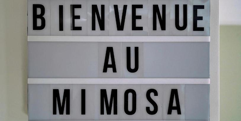 Апартаменты Mimosa-200m Plage-4minPalais-Verrière Côte d’Azur