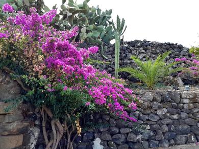 Holiday home Rural Relax Pantelleria