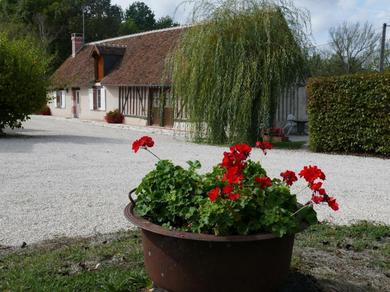 Holiday home Gîte Cour-Cheverny, 2 pièces, 2 personnes - FR-1-491-36