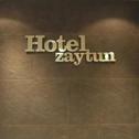 Hotel Hotel Zaytun