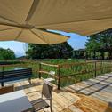 Holiday home Agriturismo Fattoria Celle
