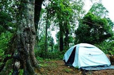 Luxury tent Nelliyampathy Wilderness Camp