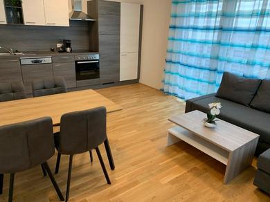Апартаменты Modern airconditioned city apartment close to VIC
