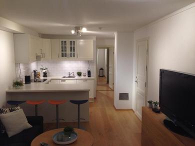 Апартаменты Cozy basement apartment near central Oslo