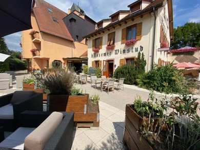 Отель Le Rosenmeer - Hotel Restaurant, au coeur de la route des vins d'Alsace
