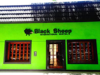 Hostel Black Sheep International Hostel