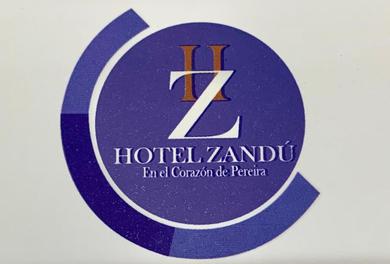 Отель Hotel Zandu