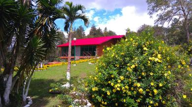 Holiday home Loma del Pinar