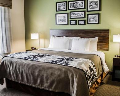 Отель Sleep Inn & Suites Harrisburg -Eisenhower Boulevard