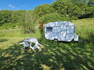 Campsite Camping La Fôret du Morvan Vintage caravan