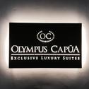 Guest house Olympus Capua